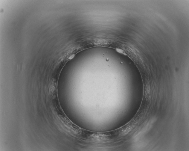 X0000086900367200704231159