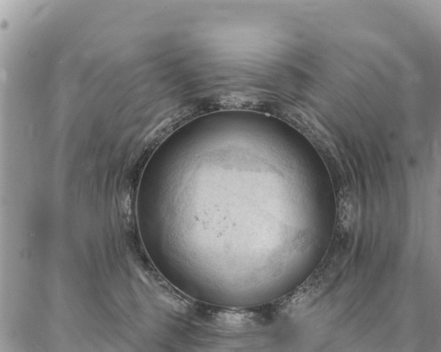 X0000086900375200704231159