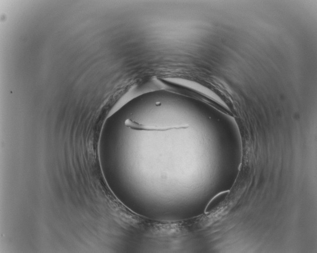 X0000086900377200704231159