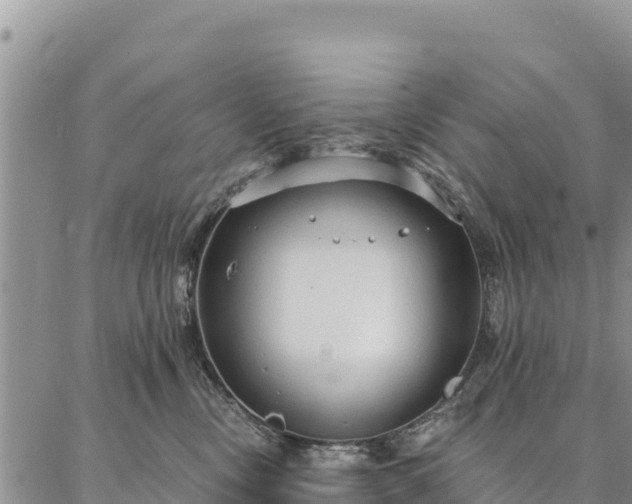 X0000086900378200704231159