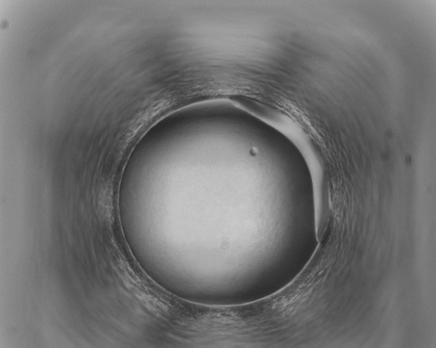 X0000086900386200704231158