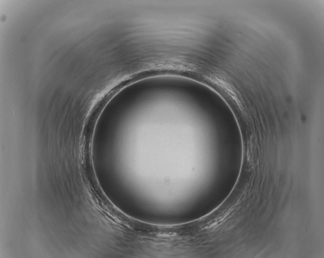 X0000086900388200704231158