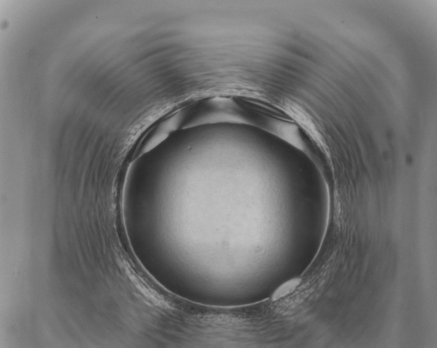 X0000086900389200704231158