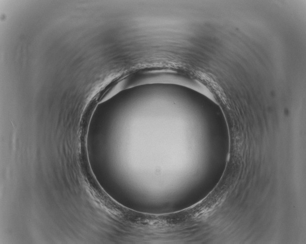 X0000086900395200704231158