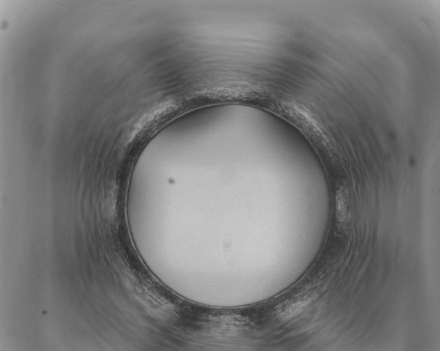 X0000086900396200704231158