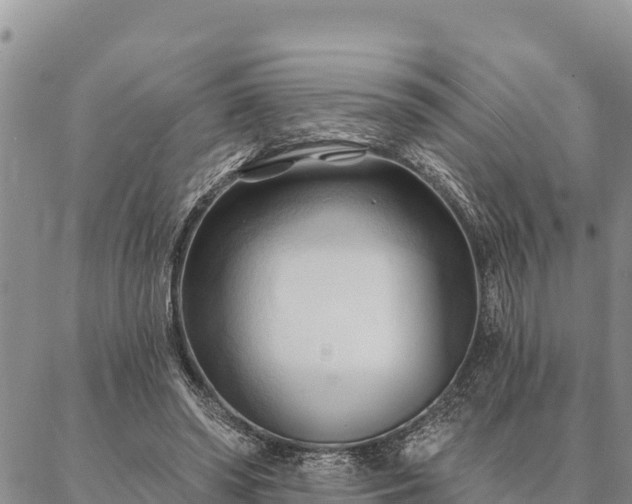 X0000086900398200704231158