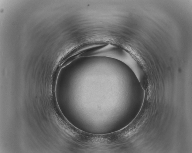 X0000086900399200704231158