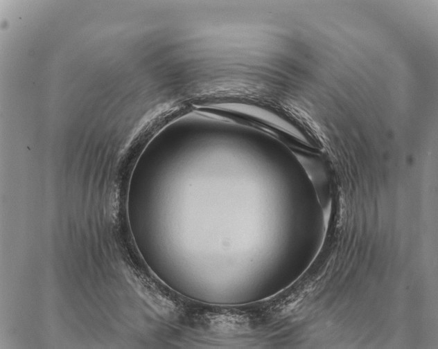 X0000086900400200704231158