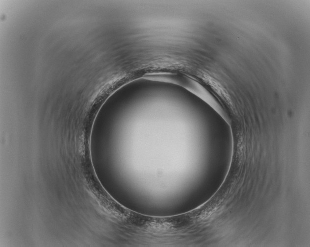 X0000086900403200704231158