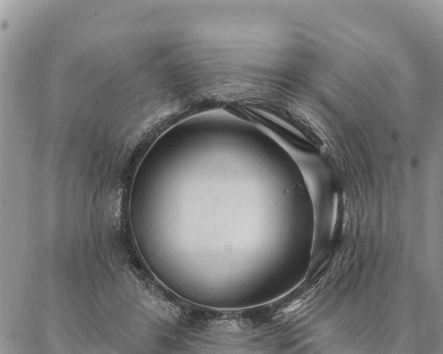 X0000086900404200704231158