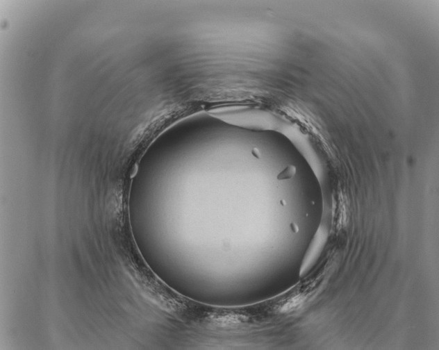 X0000086900407200704231158