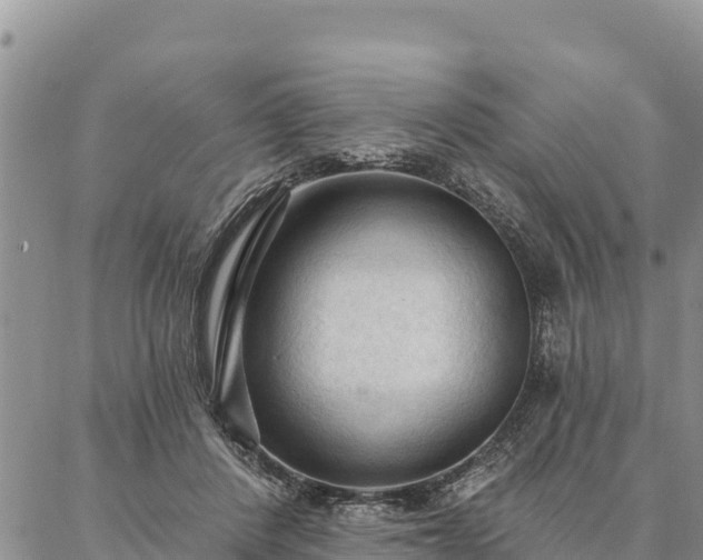 X0000086900408200704231158