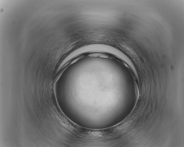 X0000086900409200704231158