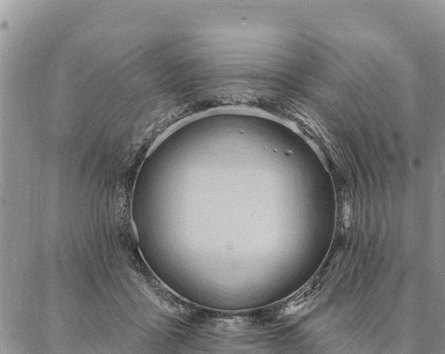 X0000086900411200704231158