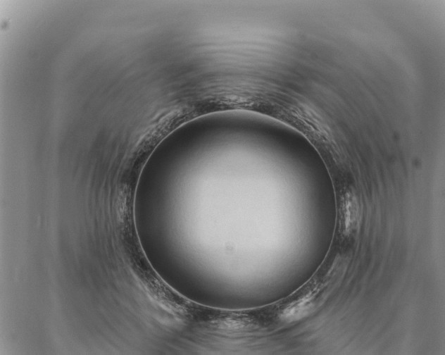 X0000086900412200704231158