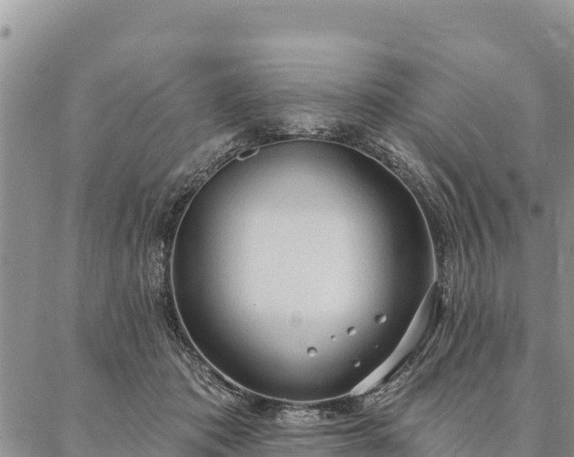 X0000086900413200704231158