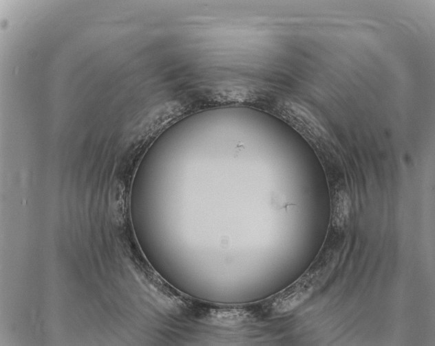 X0000086900414200704231158