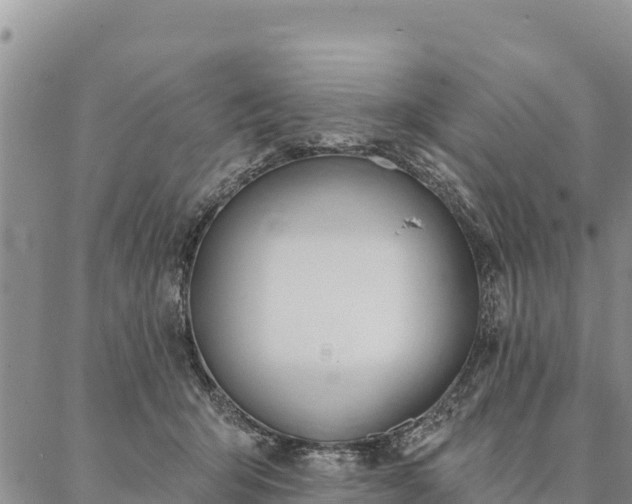 X0000086900415200704231158