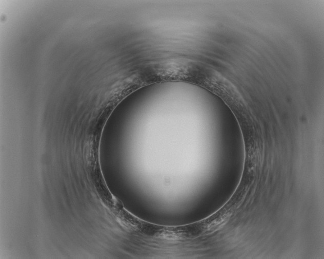 X0000086900416200704231158