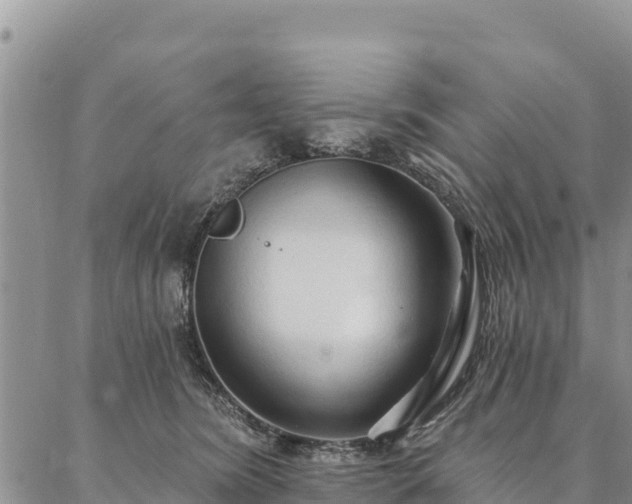 X0000086900420200704231158