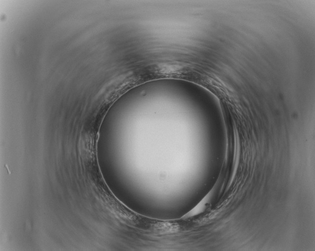 X0000086900421200704231158