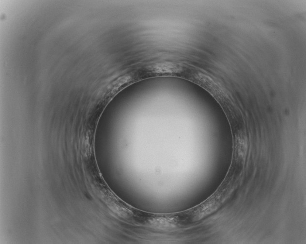 X0000086900422200704231158