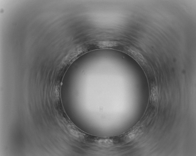 X0000086900426200704231158