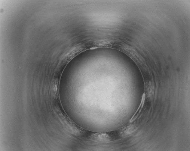 X0000086900427200704231158