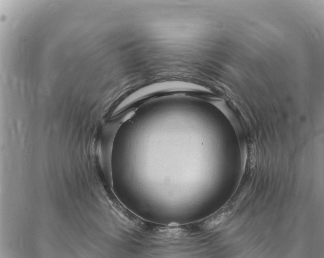 X0000086900428200704231158