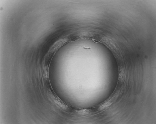 X0000086900430200704231158