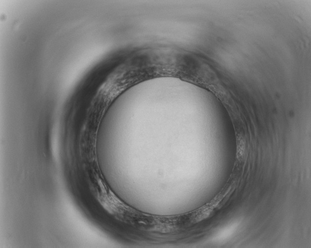 X0000086900431200704231158