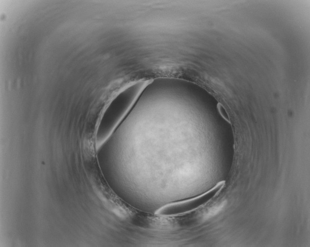 X0000086900432200704231158