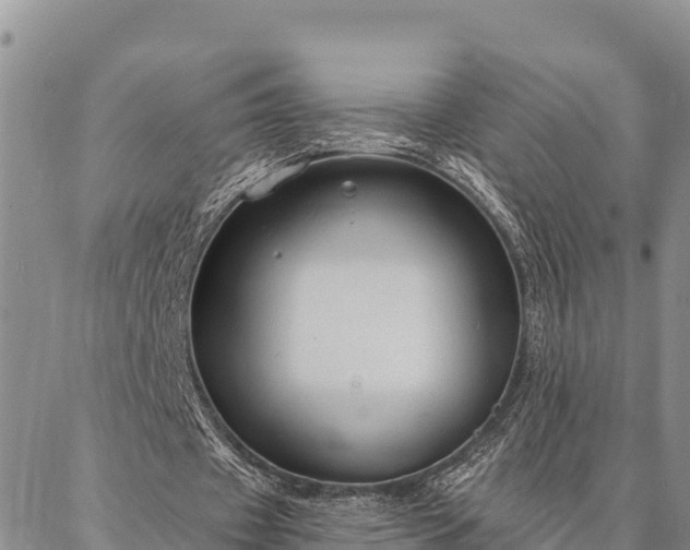 X0000086900433200704231157