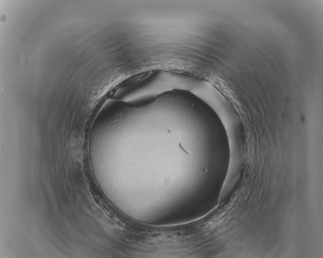 X0000086900434200704231157