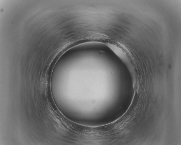 X0000086900435200704231157