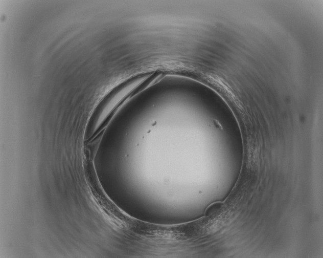 X0000086900439200704231157