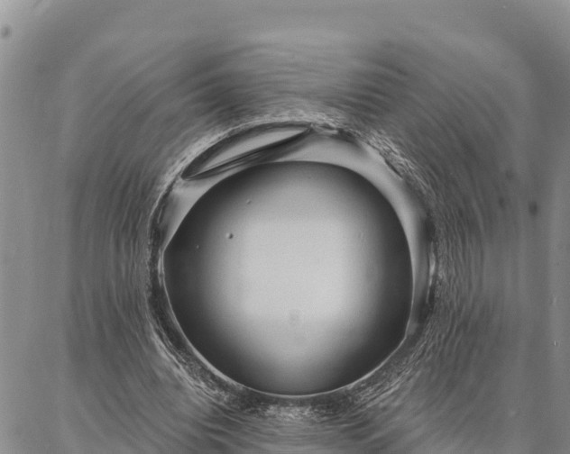 X0000086900440200704231157