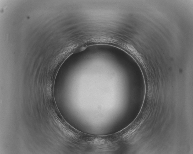 X0000086900441200704231157