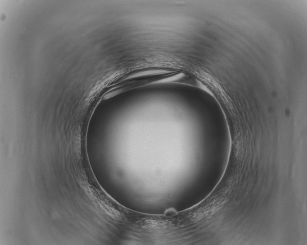 X0000086900442200704231157