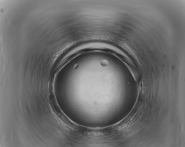 X0000086900444200704231157