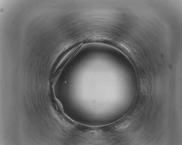 X0000086900447200704231157