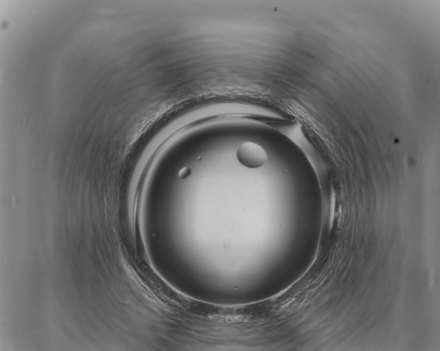 X0000086900448200704231157