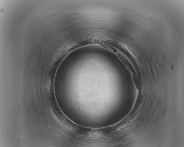 X0000086900451200704231157