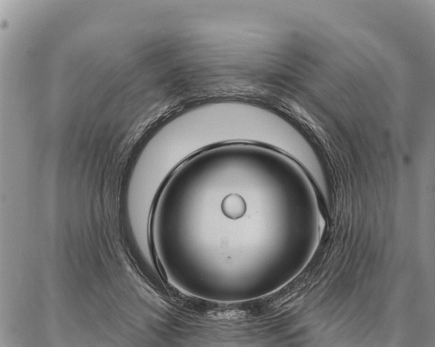 X0000086900452200704231157