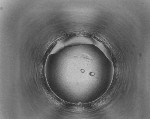 X0000086900458200704231157