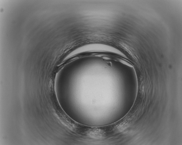 X0000086900459200704231157