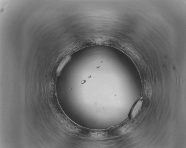 X0000086900461200704231157