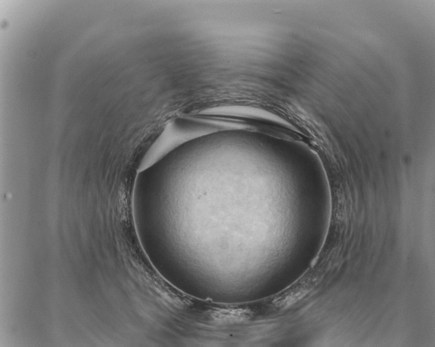 X0000086900465200704231157