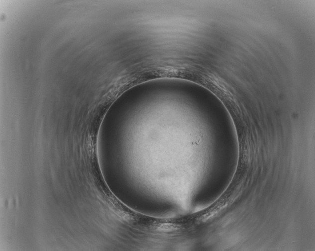 X0000086900467200704231157