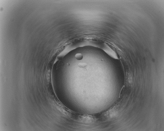 X0000086900475200704231158